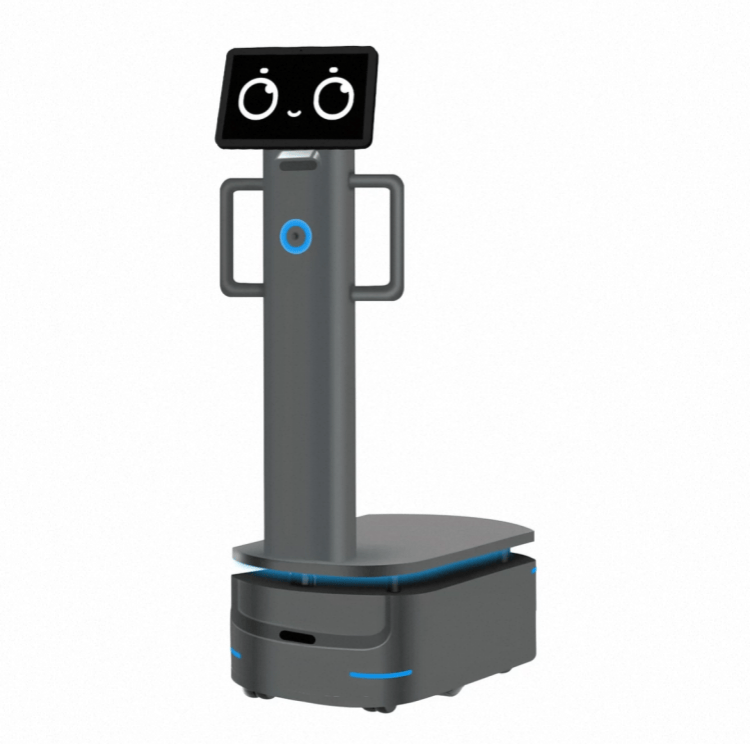 Heavy Payload Robot for Industrial Delivery