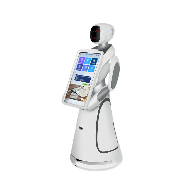 Interactive Service Robot