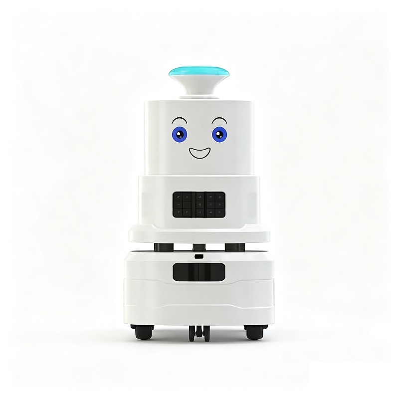 Mini Autonomous Atomization Disinfection Robot